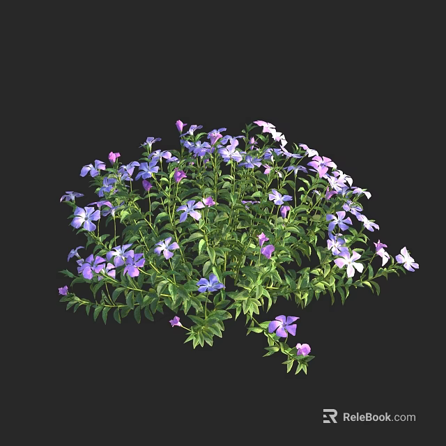 Vibrant Purple And White Flowers With Green Leaves In Garden Cluster 3d model 