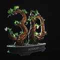 Unique Bonsai Tree With Twisted Trunks Lush Green Leaves In Round Pot Featuring Knower Text
