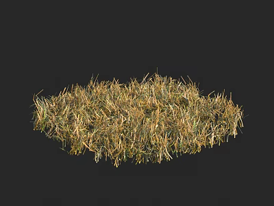 Natural Grass Clump with Green and Yellow Blades in Outdoor Scene 3d model