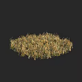 Natural Grass Clump with Green and Yellow Blades in Outdoor Scene
