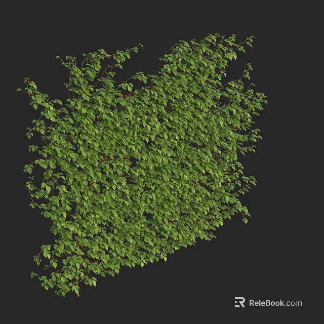 Lush Green Vines With Dense Fresh Leaves And Natural Growth Pattern 3d model 