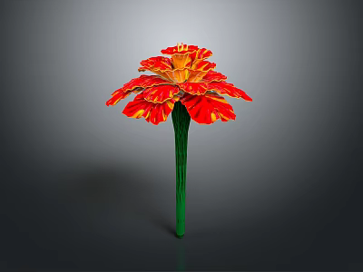 Vibrant Red And Yellow Petaled Flower With Green Stem On Dark Background 3d model