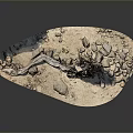 Natural Plant Growth Environment With Dry Wood Stones And Sandy Ground