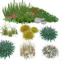 Diverse Ground Cover Plants With Various Foliage For Garden Landscape Design