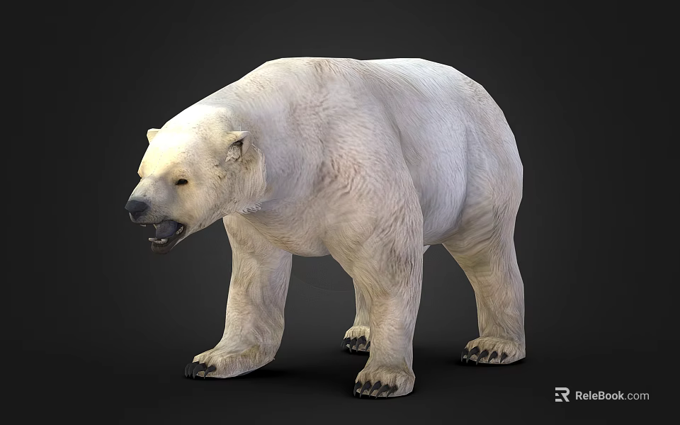 Realistic Polar Bear With Thick White Fur And Powerful Standing Pose 3d model 