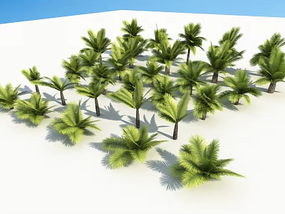 Lush Green Palm Trees in Open White Landscape With Tropical Foliage 3d model