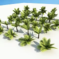 Lush Green Palm Trees in Open White Landscape With Tropical Foliage