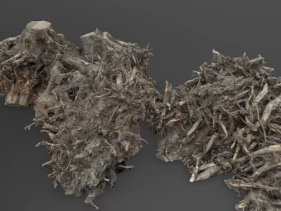 Natural Wood And Stone Materials With Rough Textures And Root Structures 3d model