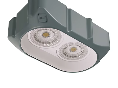 Double Head Gray Downlight Spotlight With Durable Housing And LED Lighting 3d model