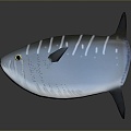 Fish Freshwater Fish Sea Fish Animal Game Animal Cartoon Animal Realistic Animal 3d model