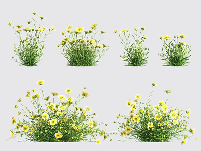 Bright Yellow Flowers With Green Stems And Leaves In Multiple Clusters 3d model