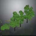 Lush Green Trees And Shrubs With Various Sizes For Outdoor Garden Landscaping Design