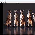 Five Kangaroos Standing Upright With Reflections On Shiny Gray Surface