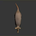 3D Rendered Aardvark Game Movie Character With Pink Skin Long Snout Large Ears Standing Pose