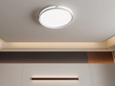 Round Ceiling Light In Modern Home Ceiling And Wall Design 3d model