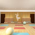 Bright Dance Studio With Wooden Floors Colorful Yoga Mats White Exercise Balls And Dancer Silhouette