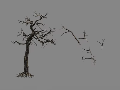 Dead Leafless Tree With Thick Trunk Exposed Roots And Fallen Branches 3d model