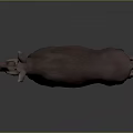 Realistic 3D Brown Deer Model With Antlers On Grey Background And Shiny Floor