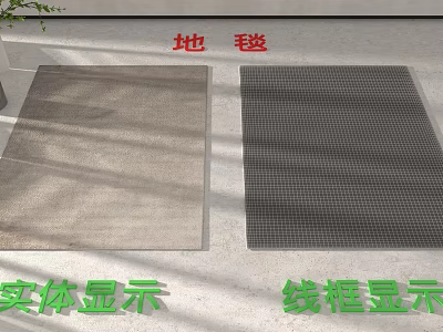 Floor Carpet With Solid And Wireframe 3d model