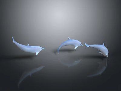 Elegant Three White Dolphins Swimming Gracefully in Dark Background with Clear Reflections 3d model