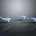 Elegant Three White Dolphins Swimming Gracefully in Dark Background with Clear Reflections