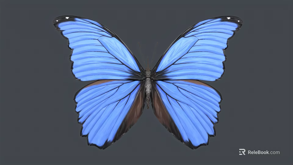 Vibrant Blue Butterfly With Striking Wing Texture And Color 3d model 