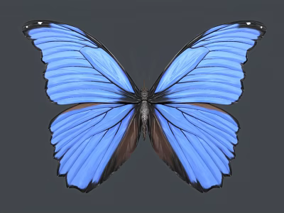 Vibrant Blue Butterfly With Striking Wing Texture And Color 3d model