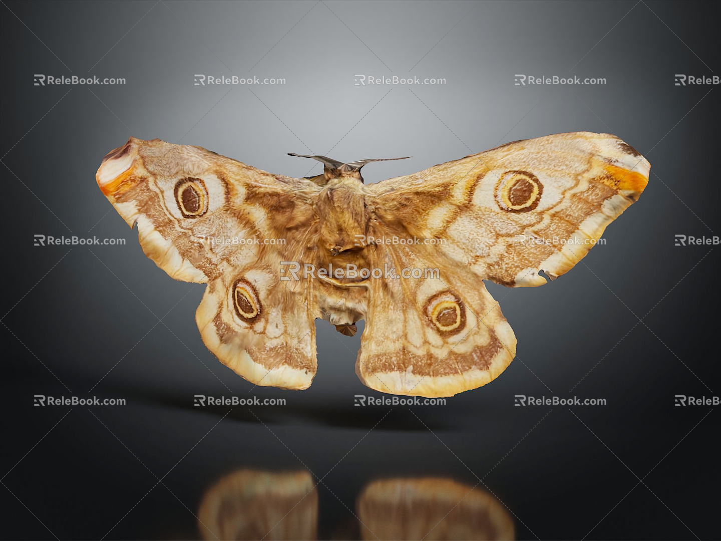 Modern Butterfly Colored Butterfly Tabby Butterfly Leaf Butterfly 3d model