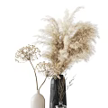 Dried Pampas Grass and Umbelliferous Flowers in Decorative White Dark Colored Vases for Minimalist Decor