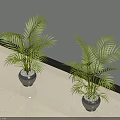 Ornamental Bonsai Potted Plants With Long Green Leaves In Silver Pots Indoor Decor