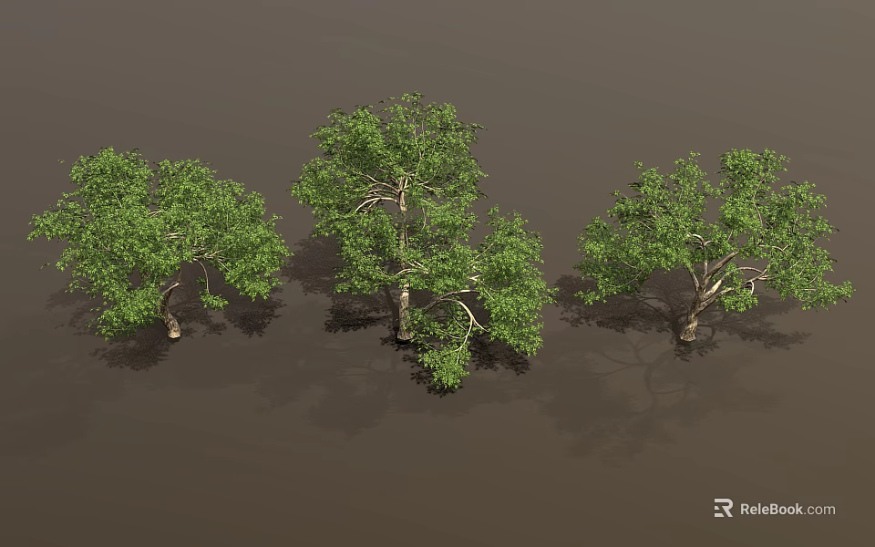Vibrant Green Trees With Lush Foliage And Strong Trunks In Natural Setting 3d model 