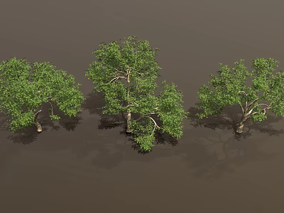 Vibrant Green Trees With Lush Foliage And Strong Trunks In Natural Setting 3d model