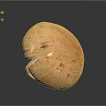 Fresh Single Orange Brown Mushroom With Smooth Surface And Natural Detailed Texture