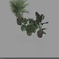 Indoor Tropical Plants with Green Patterned and Gray Pots on Dark Reflective Surface