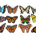 Modern Butterfly 3d model
