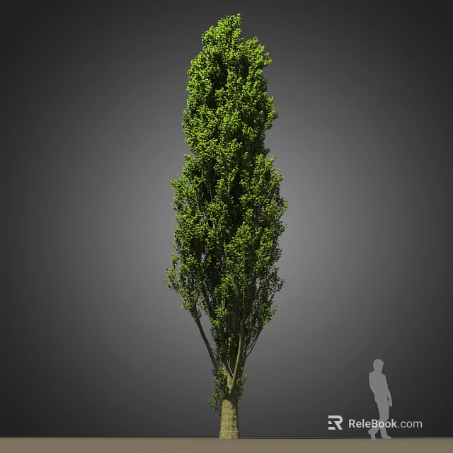 Tall Green Tree With Lush Foliage Against Gray Background And Human Figure 3d model 