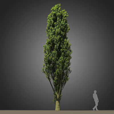 Tall Green Tree With Lush Foliage Against Gray Background And Human Figure 3d model