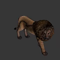 Realistic 3D Lion Model In Standing Pose With Detailed Mane And Features 3d model