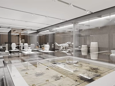 Modern Cultural Center Exhibition Hall With Glass Display Cases And Ancient Artifacts 3d model