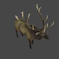 Realistic Deer With Large Antlers Standing On White Background 3d model