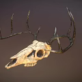 Detailed Deer Skull with Intricate Antlers and Natural Bone Texture