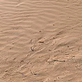 Desert Landscape With Vast Sandy Terrain And Natural Wave Ripples