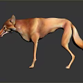 Animated Orange Fox 3D Model Standing As Game And Movie Character With Yellow Eyes