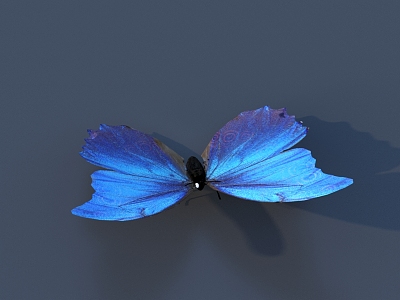 Butterfly Colored Butterfly Tabby Butterfly Leaf Butterfly Flying Animal Flying Insect Animal 3D Model 3d model