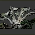 Ancient Tree With Thick Gnarled Roots By Stone Steps And Lush Green Path 3d model