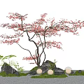 Plant Combination With Red Leaf Tree Ferns Stones Moss And Glowing Lights