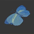 Beautiful Yellow Butterfly With Brown Edged Wings Spread Open On Dark Background