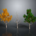 Three Trees Display Yellow Foliage Leafless Trunk And Green Leaves