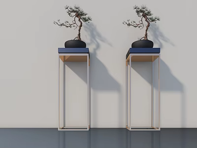 Bonsai Plants on Metal Stands with Blue Tops Against Light Colored Walls 3d model