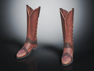 Elegant Brown Leather Knee High Boots With Vintage Lace Up Details And Classic Design 3d model